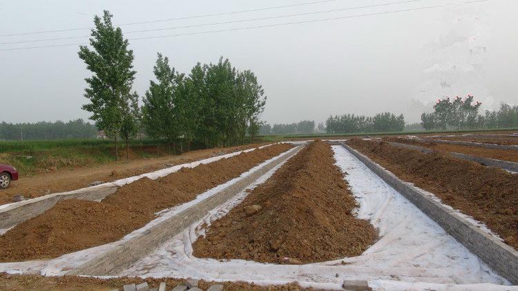 聚脂長(zhǎng)絲無紡?fù)凉げ忌线\(yùn)用哪些優(yōu)點(diǎn)