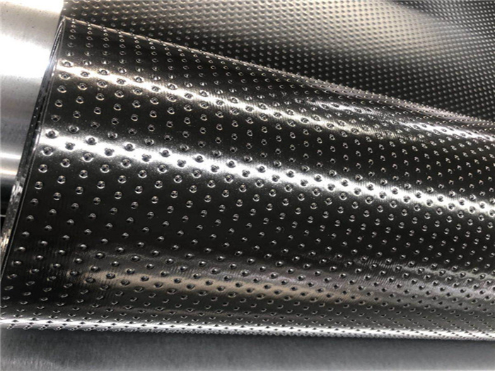 1647764474177621.jpg 雙柱點糙面土工膜.jpg